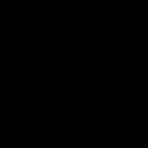 Meet your Posher, Maelie